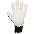 JAKO Keeperhandschoen Animal GIGA NC 2592