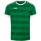 sportgroen