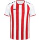 JAKO Shirt Inter korte mouw wit/sportrood Artikelnummer: 4215