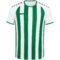 witsportgroen
