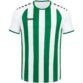 JAKO Shirt Inter korte mouw wit/sportgroen Artikelnummer: 4215