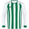 witsportgroen