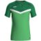 zachtgroensportgreen