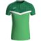 zachtgroensportgreen