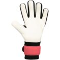JAKO Keeperhandschoen River Basic Junior RC - 2580 JAKO Sportkleding