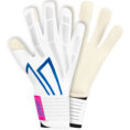 JAKO Keeperhandschoenen RS89 TEAM Protection - 2548 - JAKO Teamshop 89 Drechtsteden - Allroundsport.nl