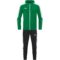 sportgroen